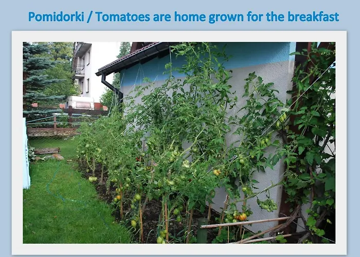 Skrawek Nieba Goscinne Homestay